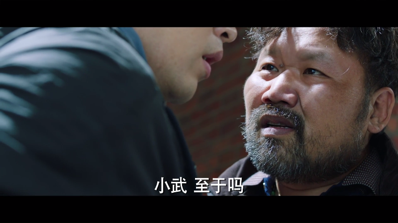 [115][源码][大陆][2020][阳光之下][蔡文静/刘凯/彭冠英][40集全][国语中字][1080P/mp4/共336G][无台标无水印/H264]