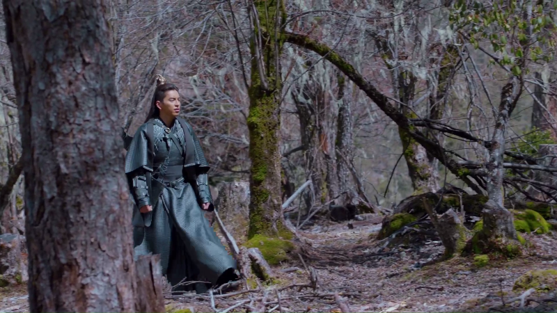 [115][源码][大陆][2020][狼殿下][王大陆/李沁/肖战][49集全][国语中字][1080P/mp4/共308G][无台标无水印/H264]