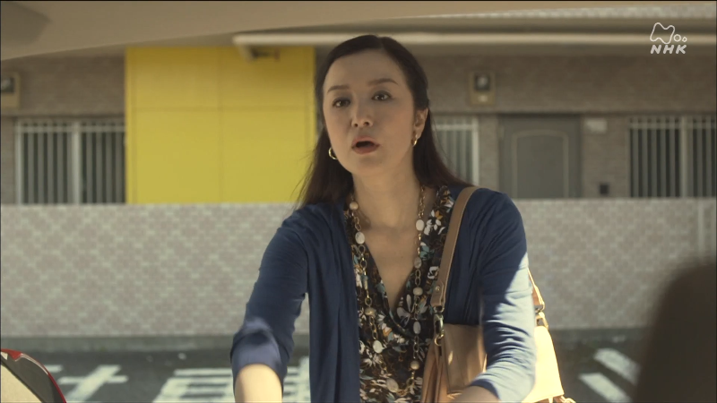 [115][日本][2015][所以去荒野][铃木京香/高桥一生][8集全][日语外挂中字][1080P/mkv/共26G][Amazon]