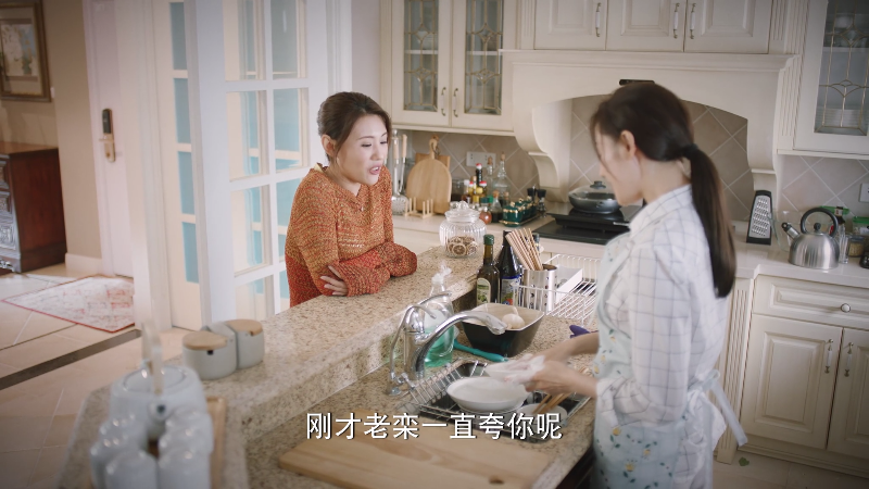 [115][源码][大陆][2021][我的漂亮朋友][张天爱/徐开骋/高至霆][42集全][国语中字][4K/mp4/共521G][无台标无水印/H264]