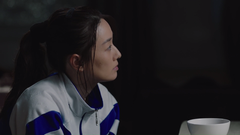 [115][源码][大陆][2019][在远方][刘烨/马伊琍/梅婷][54集全][国语中字][1080P/mp4/共513G][无台标无水印/H264]