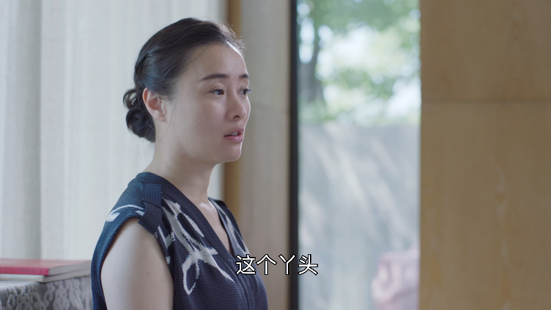 [115][源码][大陆][2021][飞鸟集][徐璐/高至霆/邱赫南][40集全][国语中字][4K/mp4/共943G][无台标无水印/H264]