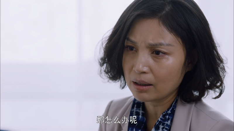 [115][源码][大陆][2015][加油吧实习生][郑恺/赵丽颖/蔡文静][35集全][国语中字][1080P/mp4/共119G][无台标无水印/H264]