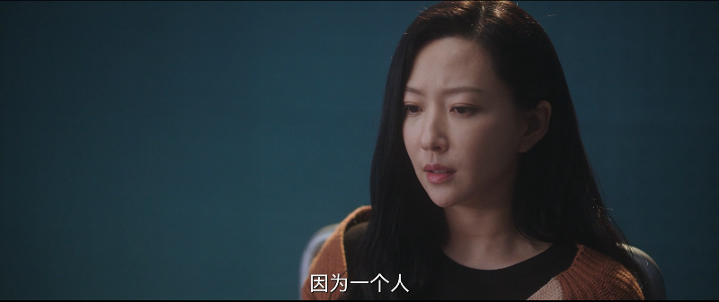 [115][源码][大陆][2022][猎罪图鉴][檀健次/金世佳/张柏嘉][20集全][国语中字][4K/mp4/共397G][无台标无水印/H264]