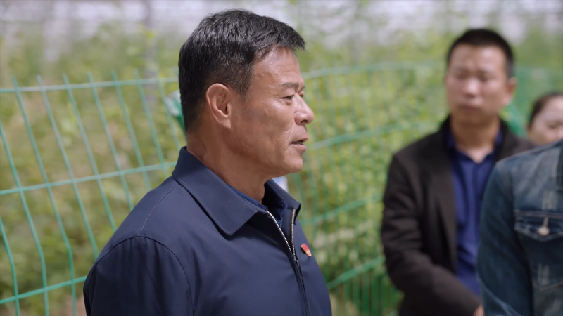 [115][源码][大陆][2020][一个都不能少][黄品沅/赵君/陈瑾][36集全][国语中字][1080P/mp4/共388G][无台标无水印/H264]