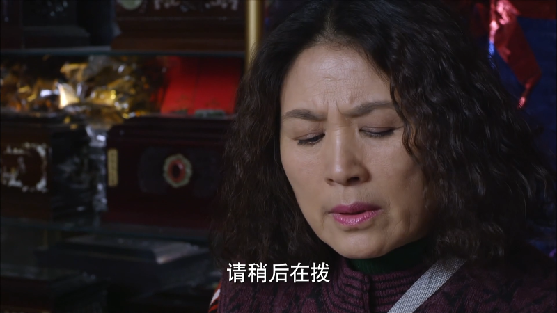 [115][源码][大陆][2013][抹布女也有春天][海清/张译/吕夏][42集全][国语中字][1080P/mp4/共320G][无台标无水印/H264]