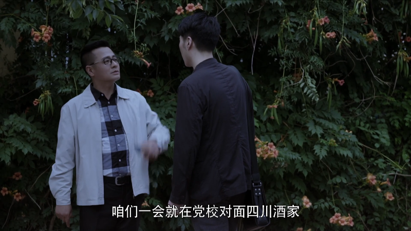 [115][源码][大陆][2017][啊，父老乡亲][孙涛/井星文/高明][33集全][国语中字][1080P/mp4/共211G][无台标无水印/H264]