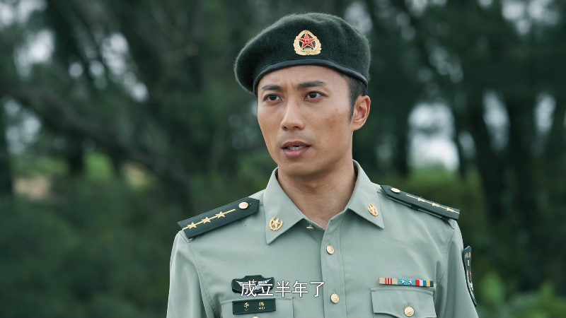 [115][源码][大陆][2020][蓝军出击][于震/梅婷/侯勇][43集全][国语中字][1080P/mp4/共746G][无台标无水印/H264]