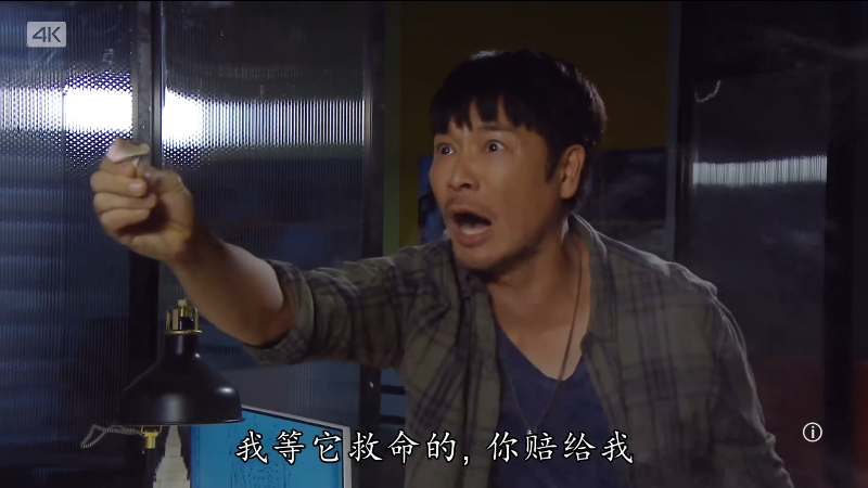 [115][香港][2021][失忆24小时][郭晋安/谭俊彦/姜大卫][27集全][国语中字][4K高码/mp4/共119G][无台标]