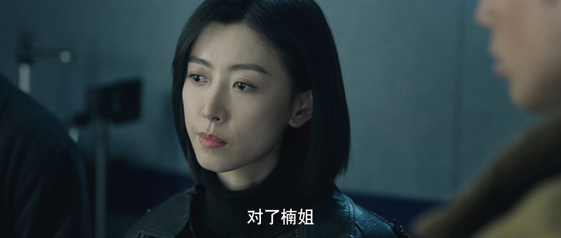 [115][大陆][2024][凶手的样子][韩栋/陈小纭/章涛][16集全][国语中字][4K高码/mkv/共76G][无台标无水印/H265]