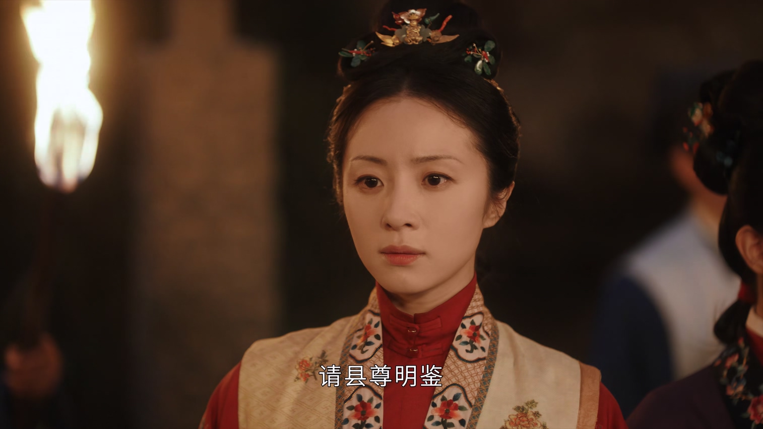 [115][大陆][2025][锦囊妙录][胡冰卿/翟子路/贺鹏][36集全][国语中字][4K/mkv/共39G][无台标无水印/H265]