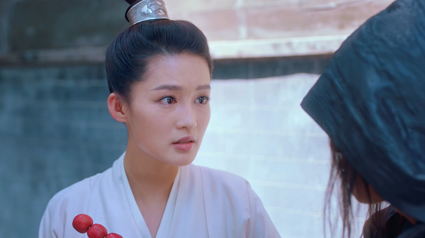 [115][大陆][2020][狼殿下][王大陆/李沁/肖战][49集全][国语中字][4K高码/mkv/共246G][无台标无水印/H265]