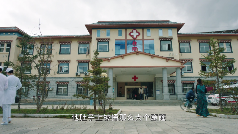 [115][源码][大陆][2021][司藤][景甜/张彬彬/李沐宸][30集全][国语中字][1080P/mp4/共299G][无台标无水印/H264]