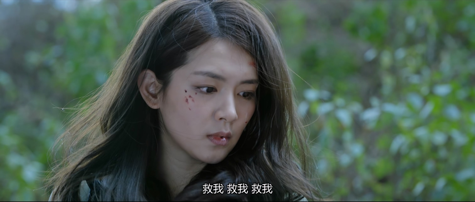 [115][大陆][2020][失踪人口][吕聿来/刘畅/陈小纭][12集全][国语中字][4K/mp4/共21G][无台标无水印/H265]