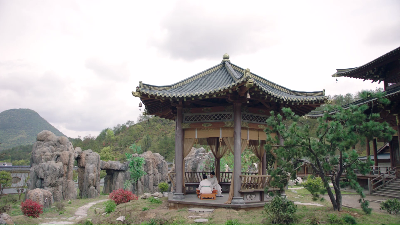 [115][源码][大陆][2020][青青子衿][范世錡/吕小雨/雨婷儿][40集全][国语外挂中字][1080P/mp4/共389G][无台标无水印/H264]