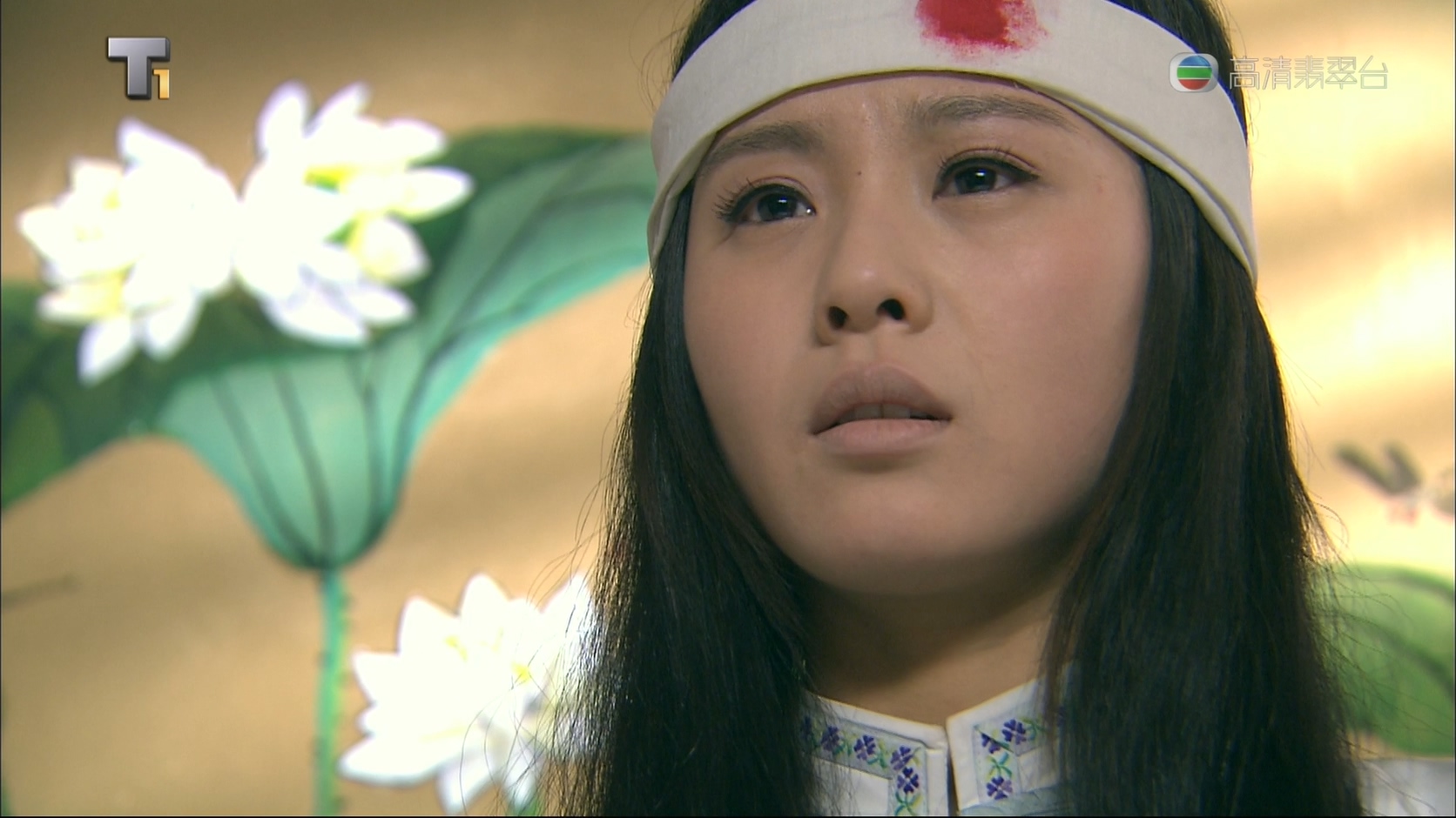 [115][大陆][2011][步步惊心][刘诗诗/吴奇隆/郑嘉颖][35集全][国粤双语软中字][1080i/ts/共126G][高清翡翠台]