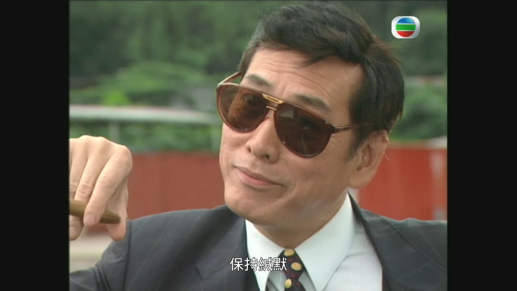 [115][香港][1997][廉政追缉令][古天乐/袁洁莹/张兆辉][20集全][国语繁字][4K/mkv/共55G][Mytv]