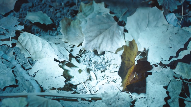 [115][源码][大陆][2019][花开时节][陈冠英/孙萍丽/张琦][30集全][国语中字][4K/mp4/共300G][无台标无水印/H264]